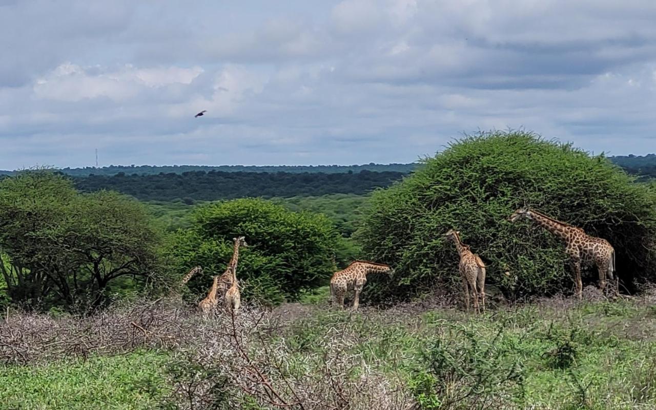 Motlala Game Lodge Hoedspruit Exterior foto