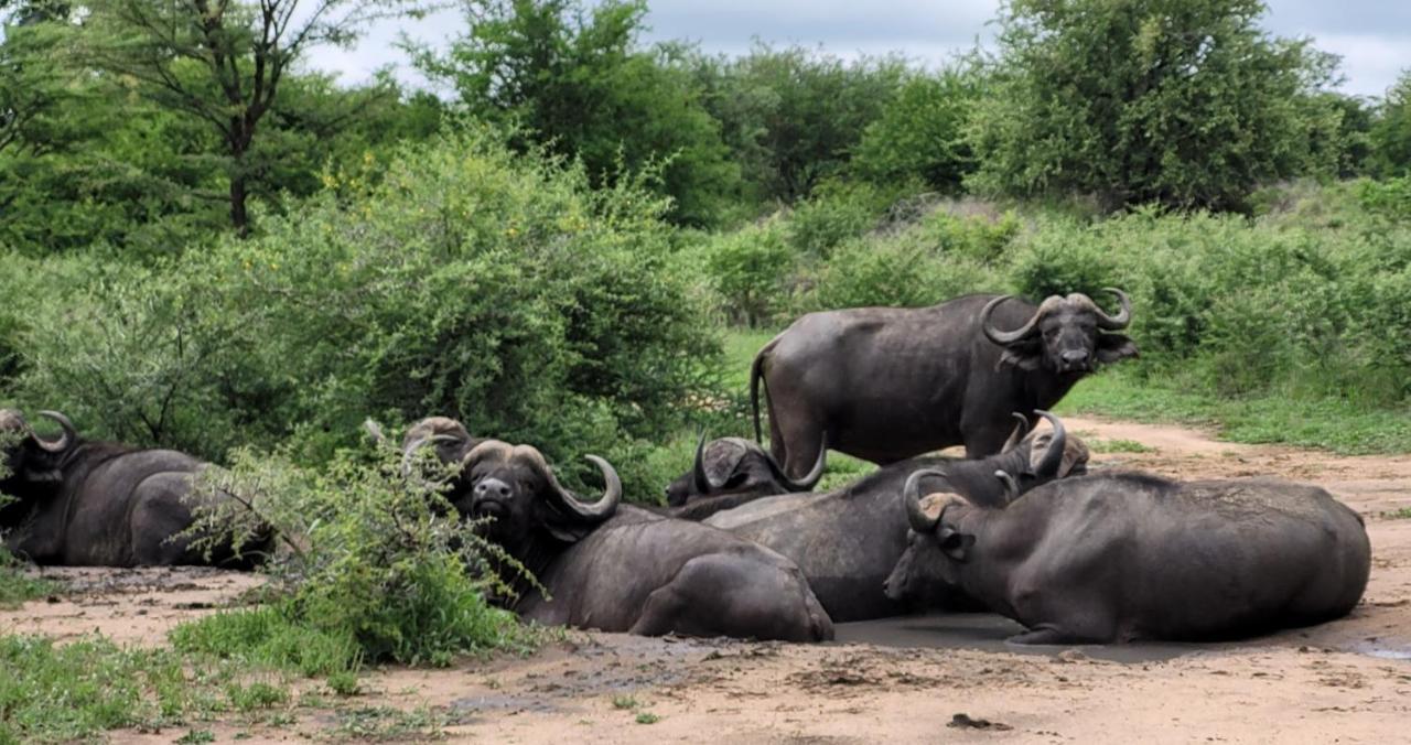 Motlala Game Lodge Hoedspruit Exterior foto